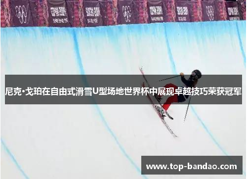 尼克·戈珀在自由式滑雪U型场地世界杯中展现卓越技巧荣获冠军