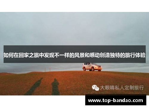 如何在回家之旅中发现不一样的风景和感动创造独特的旅行体验