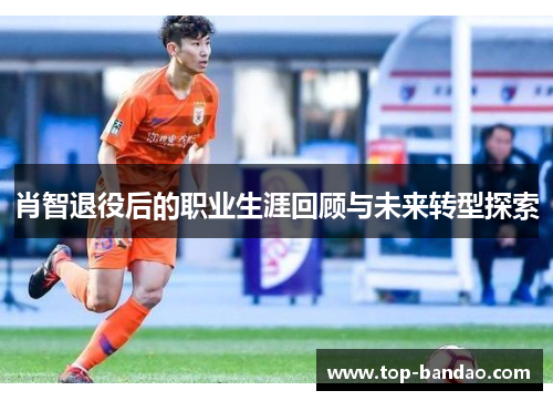 肖智退役后的职业生涯回顾与未来转型探索