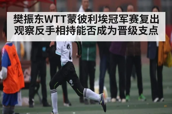 樊振东WTT蒙彼利埃冠军赛复出观察反手相持能否成为晋级支点